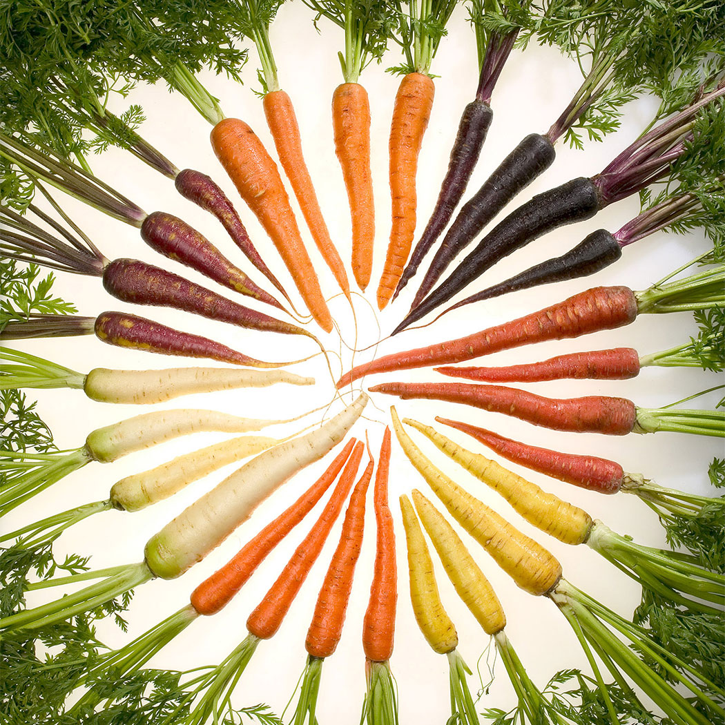 Carrots_of_many_colors
